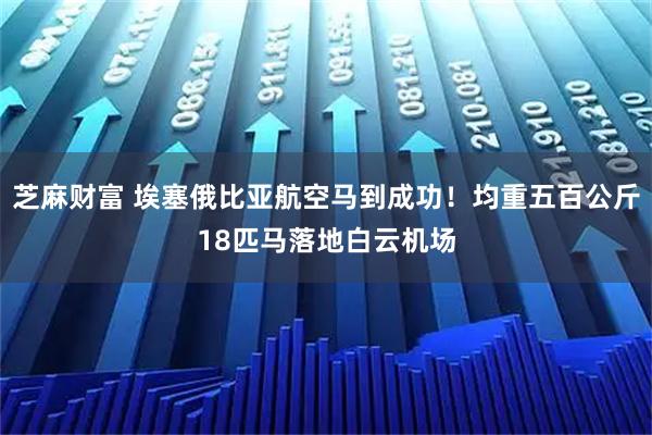 芝麻财富 埃塞俄比亚航空马到成功！均重五百公斤18匹马落地白云机场