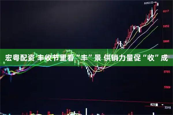 宏粤配资 丰收节里看“丰”景 供销力量促“收”成