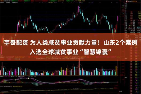 宇奇配资 为人类减贫事业贡献力量！山东2个案例入选全球减贫事业“智慧锦囊”
