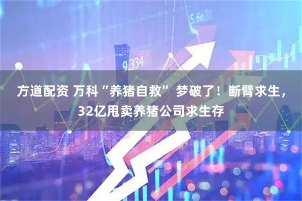 方道配资 万科“养猪自救” 梦破了！断臂求生，32亿甩卖养猪公司求生存
